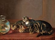 Horatio Couldery