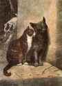 William Henry Trood