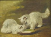 Alfred Arthur Brunel de Neuville