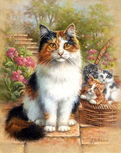 Judy Gibson