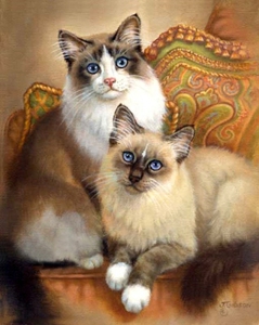 Judy Gibson