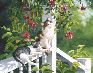 Persis Clayton Weirs