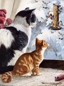 Persis Clayton Weirs