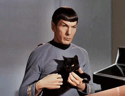 Mr. Spock / Leonard Nimoy