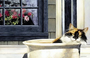 Suellen Ross