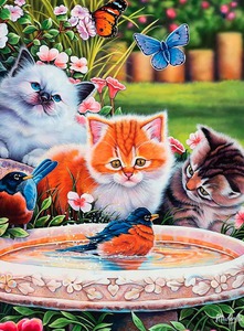 Jenny Newland