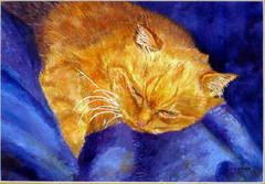 Shirley Froyd