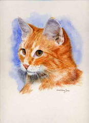 Dianne Whitney Searle