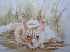 Dianne Whitney Searle