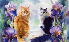 Jeannie Vodden